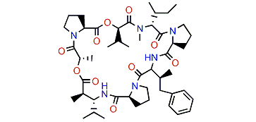 Homodolastatin 16